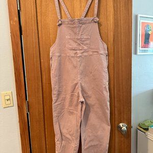 Pilcro overalls